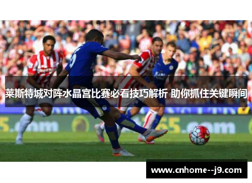 莱斯特城对阵水晶宫比赛必看技巧解析 助你抓住关键瞬间 莱斯特城对阵水晶宫比赛必看技巧解析 助你抓住关键瞬间