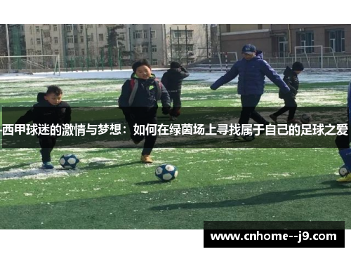 西甲球迷的激情与梦想：如何在绿茵场上寻找属于自己的足球之爱