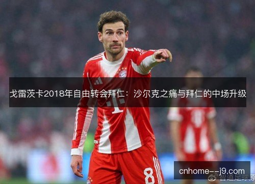 戈雷茨卡2018年自由转会拜仁:沙尔克之痛与拜仁的中场升级 戈雷茨卡2018年自由转会拜仁:沙尔克之痛与拜仁的中场升级